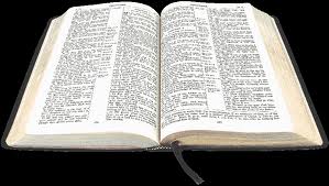 bible 1