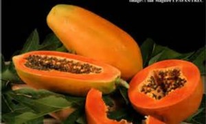 PAPAYAS