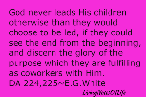 God never leads his children