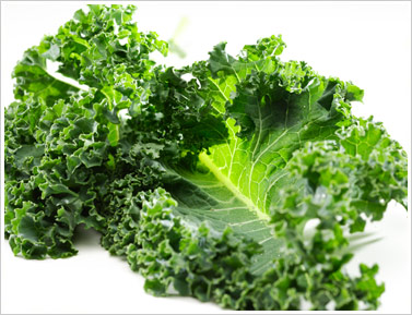 Kale- Powerhouse of Nutrients