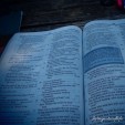 Devotion -Reverence for the Word of God
